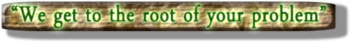 We Get To Root of the Problem