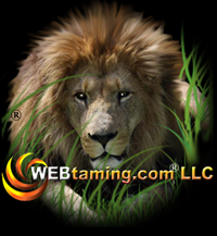 WEBtaming logo